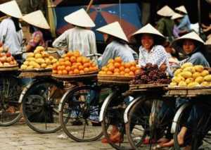Инвестиции в экономику Вьетнама