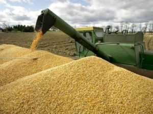 Экспорт зерна из России во Вьетнам увеличивается