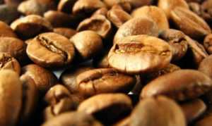 Руководство Вьетнама вложит 7,5 миллионов долларов в кофейную отрасль