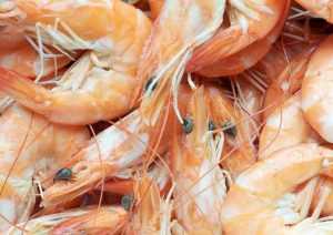 Россельхознадзор запретил поставки креветок с вьетнамского предприятия Workshop i Seaprodex